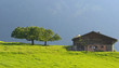 cabane d'alpage