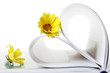 libro y flores libro y flores