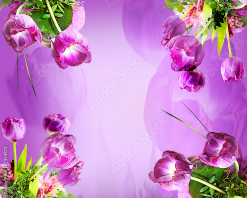 flowers background pictures. violet flowers background