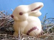 osterhase