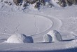 ice igloo 1