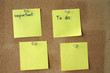 copy space for important notes copy space for important notes
