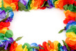 lei border lei border