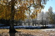 the first snow.
