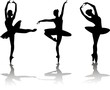 graceful ballerinas graceful ballerinas