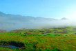 mist in the morning mist in the morning