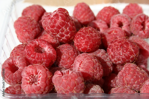 Basket Of Raspberries