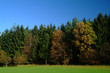 Foto: waldrand waldrand