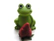 Foto: frosch_01 frosch_01