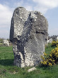 standing stones standing stones