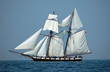 voilier en mer 5