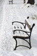 benches in a park