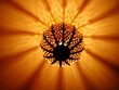 lampe oriental lampe oriental