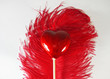 heart and feather