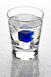 beverage with blue ice cubes beverage with blue ice cubes