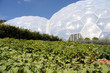 eden project