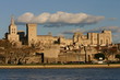 palais des papes palais des papes