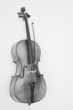 the cello