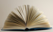 opened book on white background opened book on white background