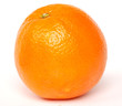 orange orange