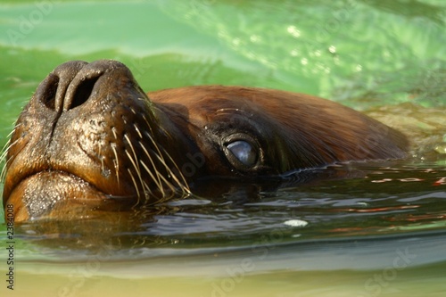 Photo: don't eyeball me don't eyeball me