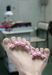 pedicure