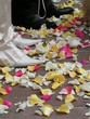 mariage, pétales et chaussures