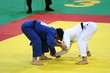 judo judo