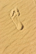 footprint
