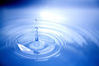 splash
