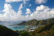 Photo: tortola tortola