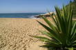 traumstrand