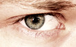 eye