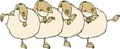 sheep chorus line