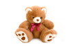 bear toy