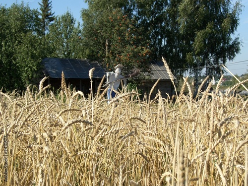 suzdal