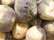 rutabaga rutabaga