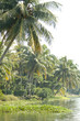 kerala