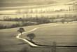 carretera poco transitada