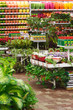 flower shop 2