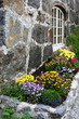 bac à fleur en norvège bac à fleur en norvège