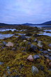 marée basse dans les lofoten