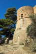 castle with stair in the forest castle with stair in the forest