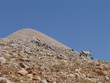on the way to nemrut