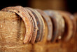 horse shoes