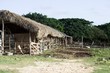 tropical ranch