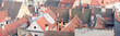 roofs panorama