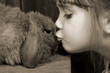 bunny kisses