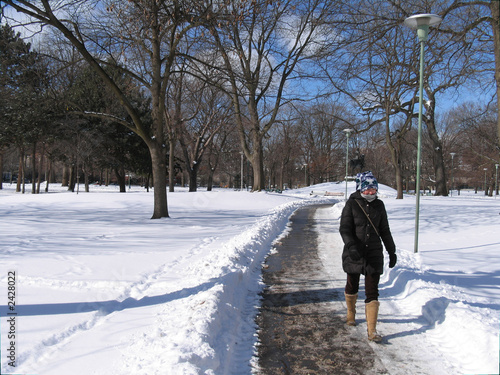snow day in the park