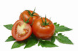 tomatoes